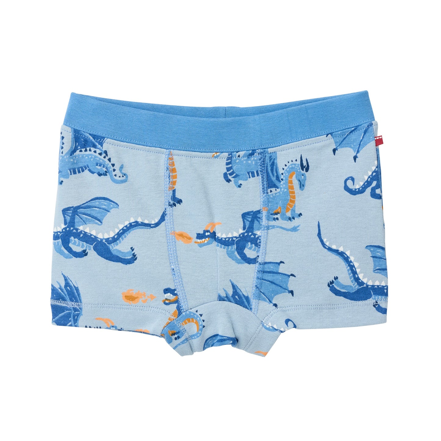 Kalsonger 2-pack blå drakar