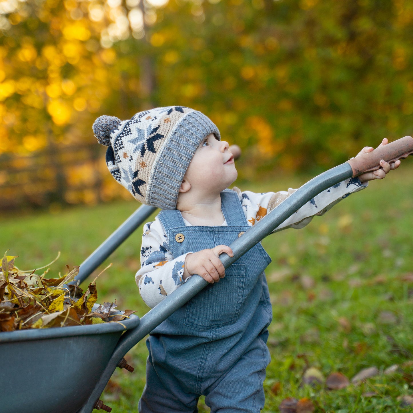 Omlottbody skogsdjur