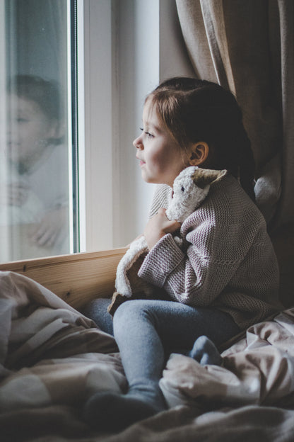 Gosedjur gås med värmekudde