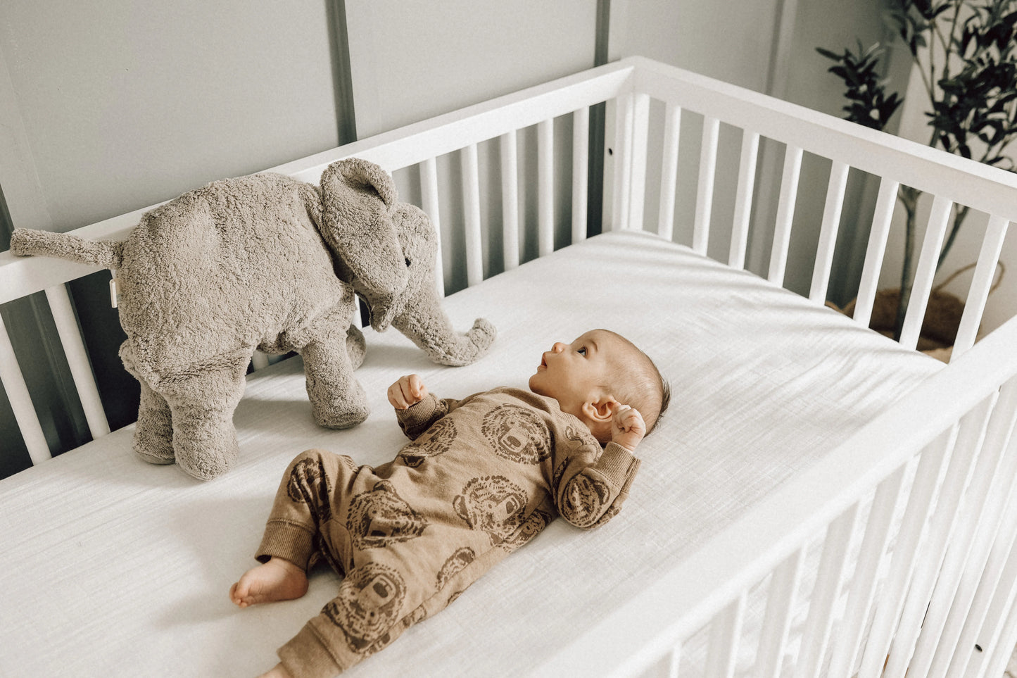 Gosedjur elefant med värmekudde